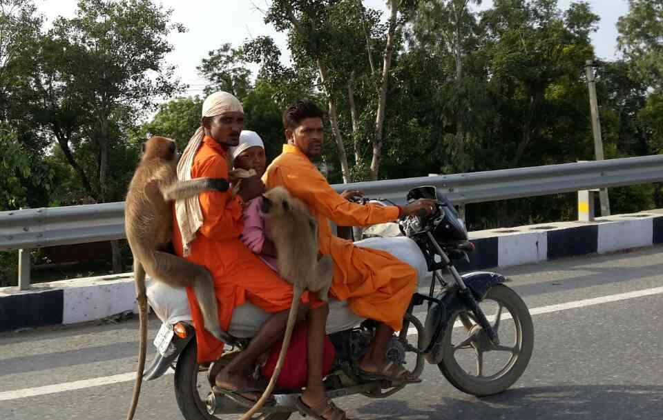 Hus 日記「朝のラッシュ」