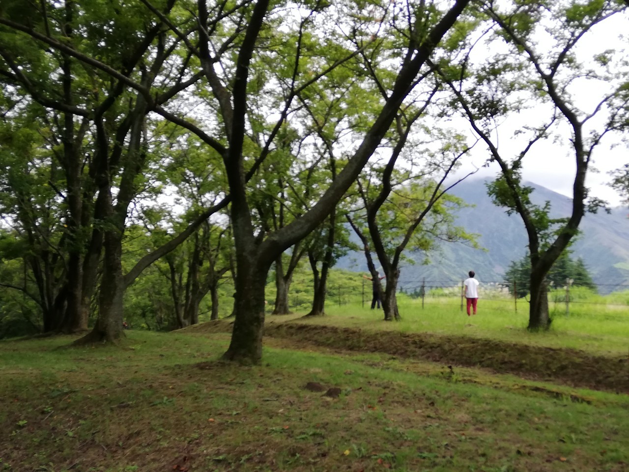 自然との交流