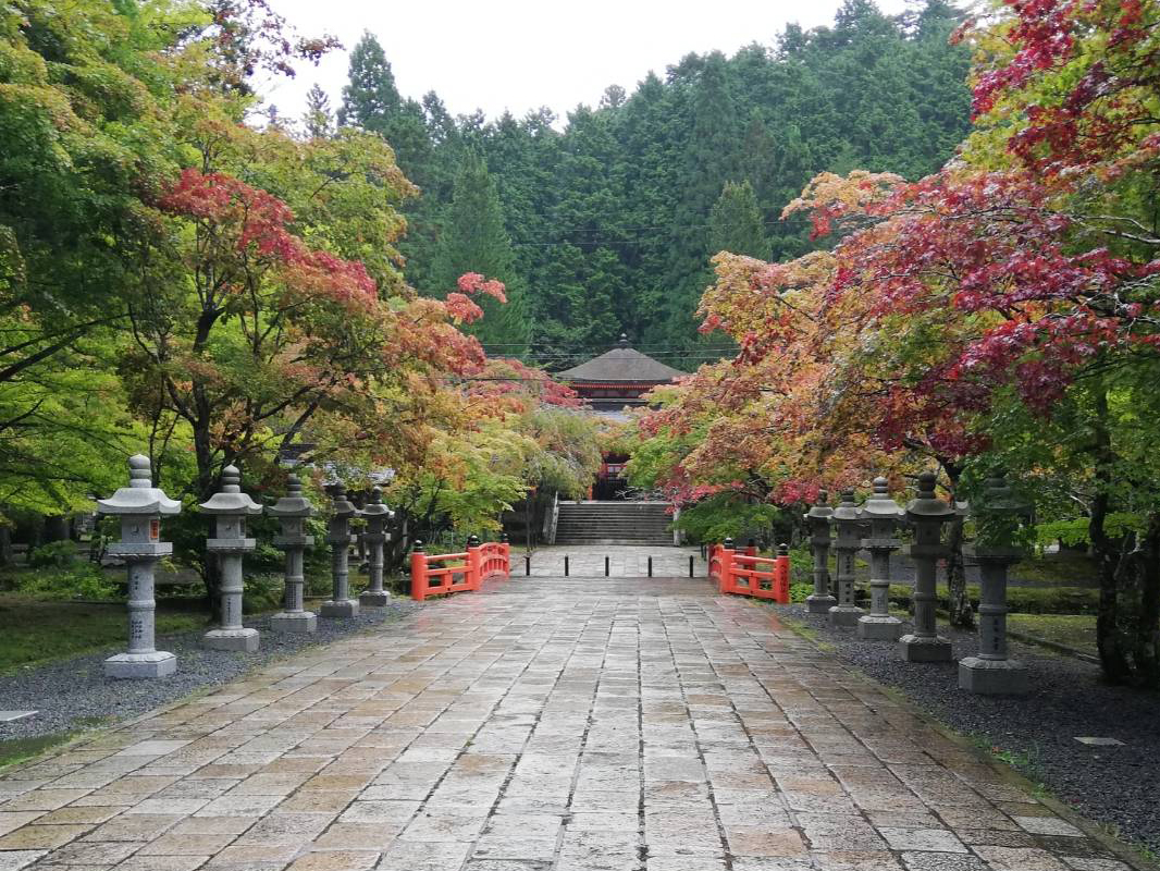 高野山大学訪問