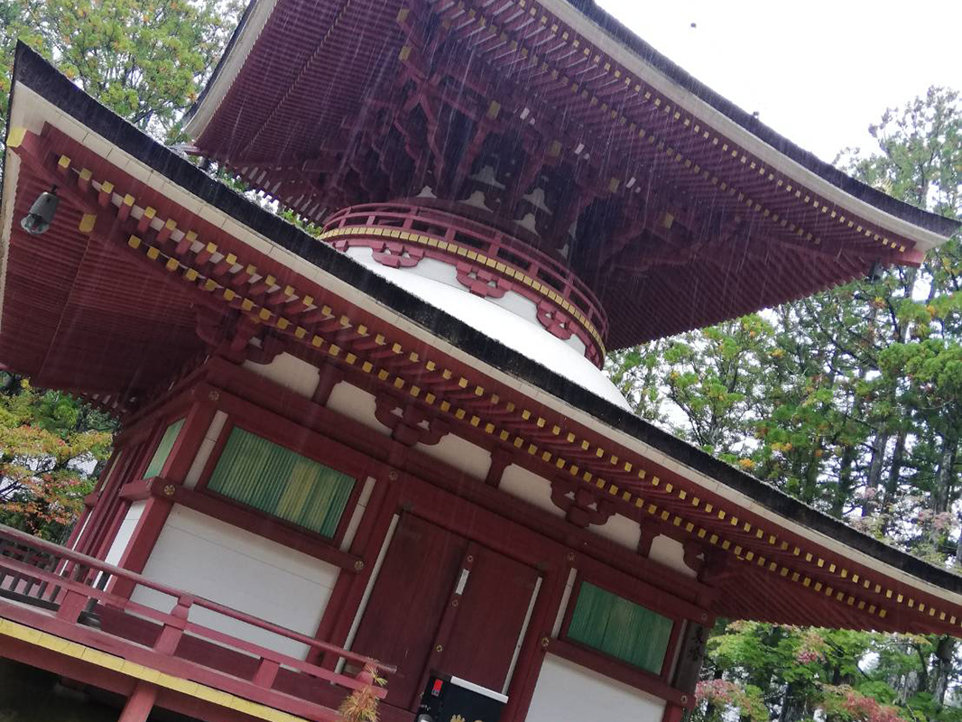 高野山大学訪問