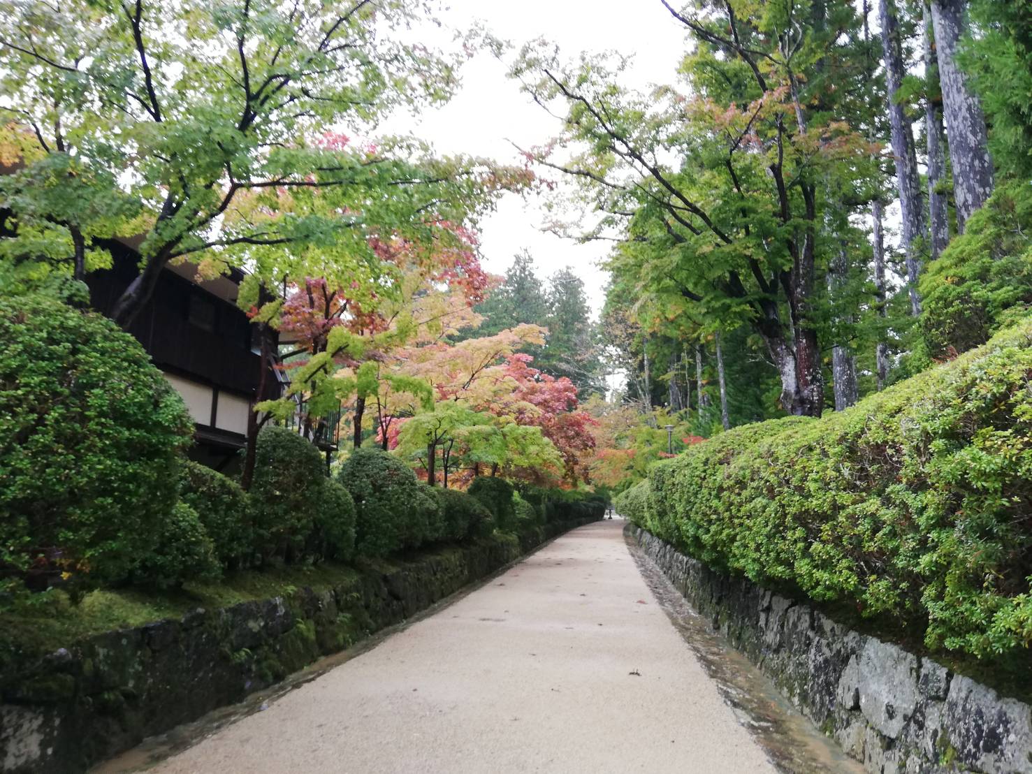 高野山大学訪問