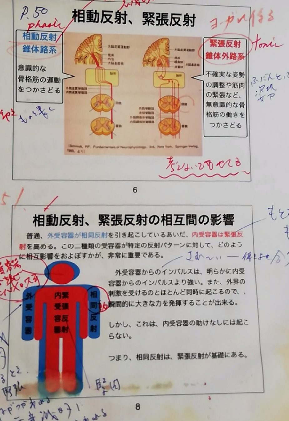 「ヨーガ・セラピー」読み聞かせ～Reading & teaching～